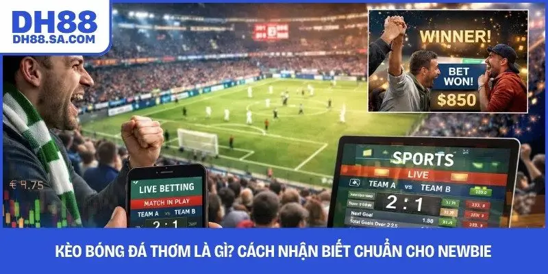 Kèo Bóng Đá Thơm Là Gì? Cách Nhận Biết Chuẩn Cho Newbie
